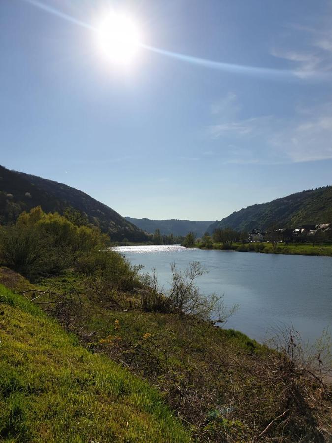 Residenz Moselzauber - Ferienwohnungen Mit Pool Landschaft Ernst Buitenkant foto