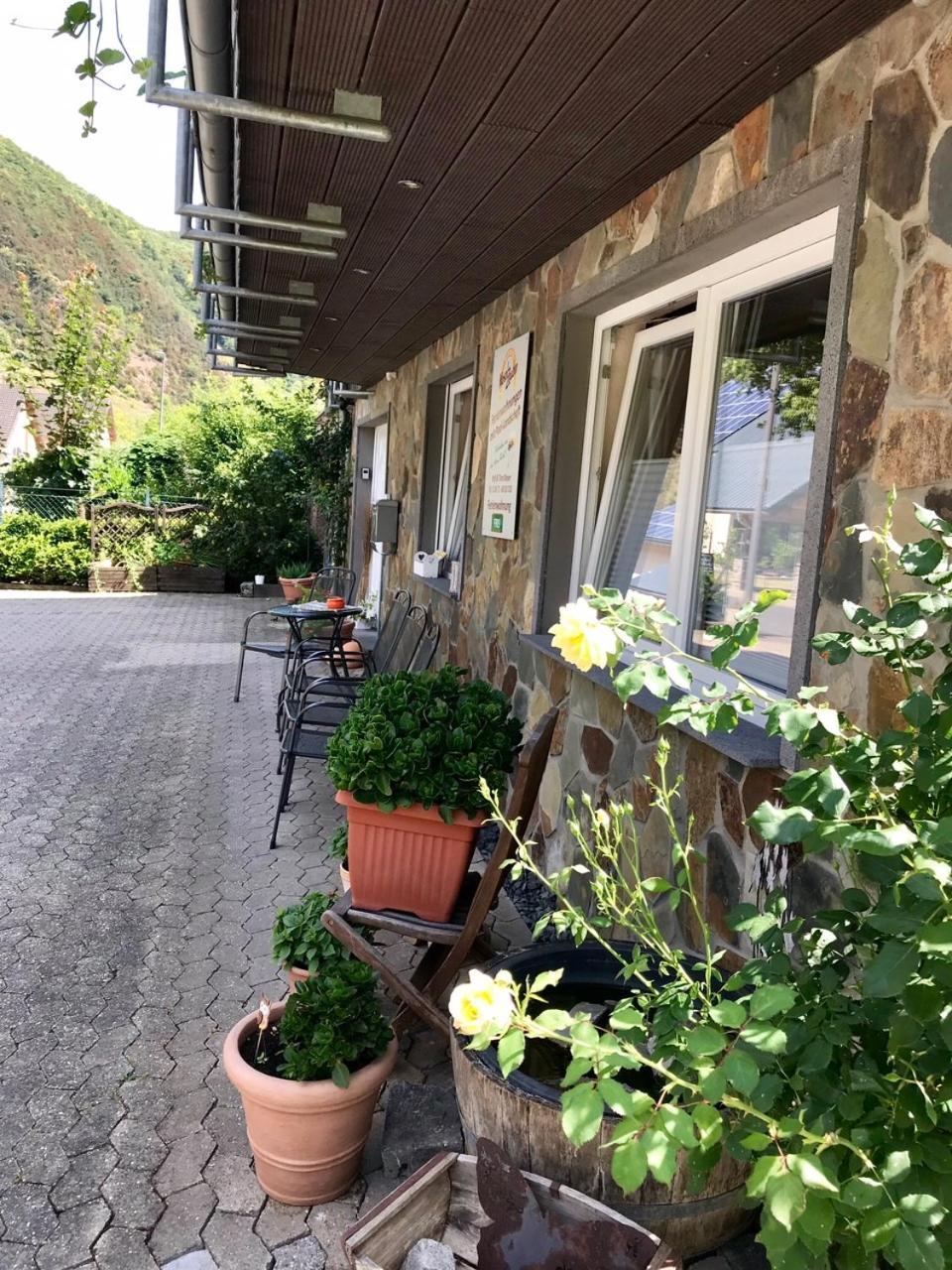 Residenz Moselzauber - Ferienwohnungen Mit Pool Landschaft Ernst Buitenkant foto